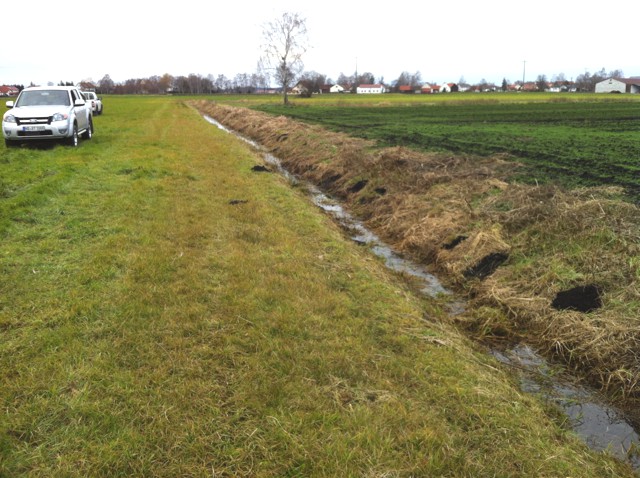 Entwässerungsgraben Donaumoos